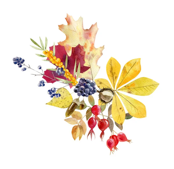 Акварель осінь розташування листя і фруктів — стокове фото
