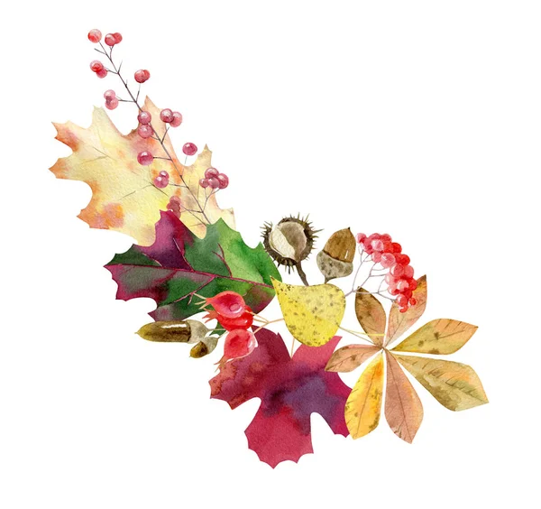 Акварель осенью расположение листвы и фруктов — стоковое фото
