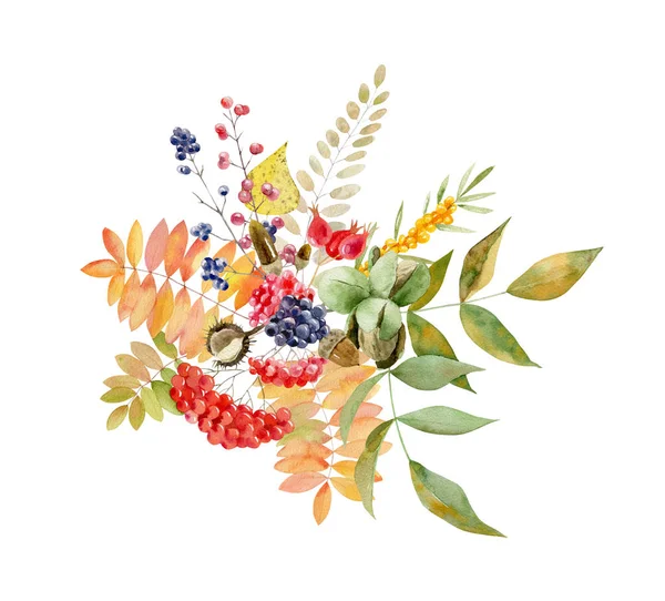 Watercolor handpainted fall arrangement of foliage and fruit — Stock Photo, Image