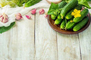 Salatalık dekapaj için hazırlık. Koruma. Seçici odak. 