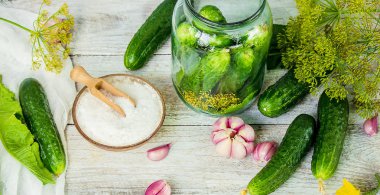 Salatalık dekapaj için hazırlık. Koruma. Seçici odak. 