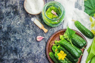 Salatalık dekapaj için hazırlık. Koruma. Seçici odak. 