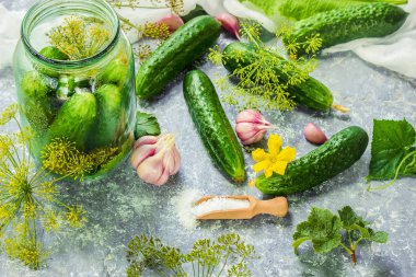 Salatalık dekapaj için hazırlık. Koruma. Seçici odak. 