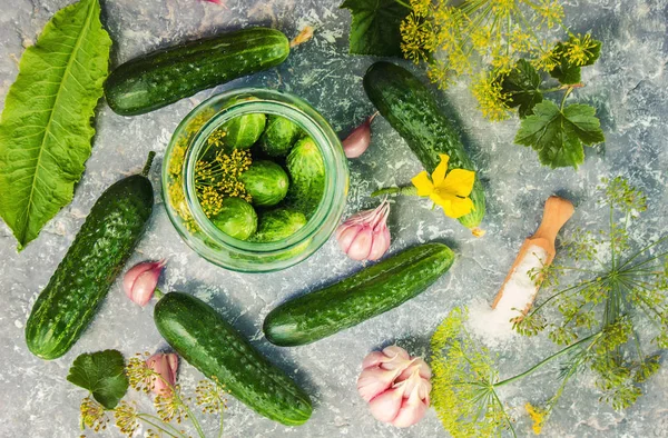 Salatalık dekapaj için hazırlık. Koruma. Seçici odak. 