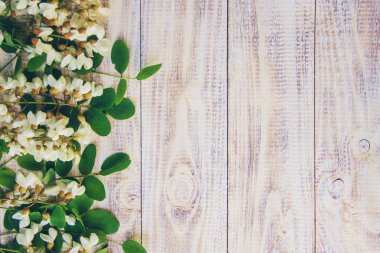 Akasya ve çay ile tatlım. Seçici odak. 