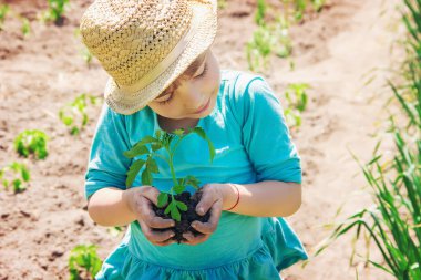 Bir çocuk bahçeye bir bitki eker. Seçici odak. 