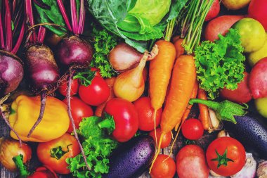 Farklı biyolojik sebze. Seçici odak.