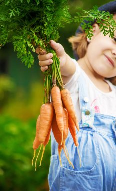 Çocuk ve biyografi sebze çiftlikte. Seçici odak. 