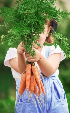 Çocuk ve biyografi sebze çiftlikte. Seçici odak. 
