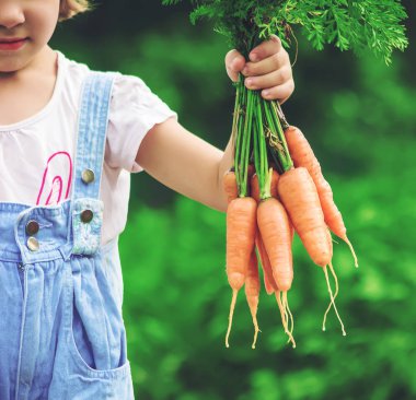 Çocuk ve biyografi sebze çiftlikte. Seçici odak. 