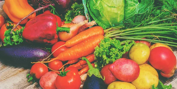 Verschiedenes Biogemüse Selektiver Fokus — Stockfoto