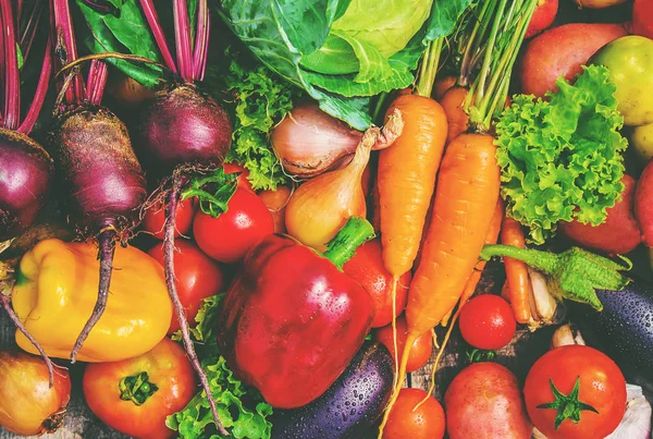 Verschiedenes Biogemüse Selektiver Fokus — Stockfoto