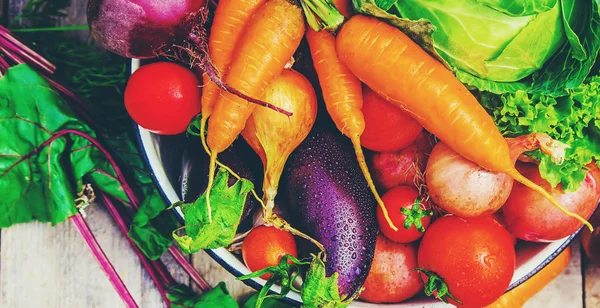 Verschiedenes Biogemüse Selektiver Fokus — Stockfoto