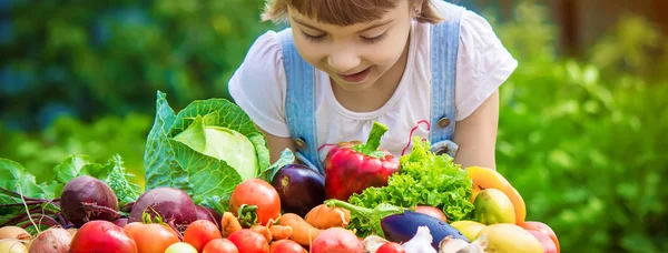 Niños Verduras Biológicas Granja Enfoque Selectivo —  Fotos de Stock