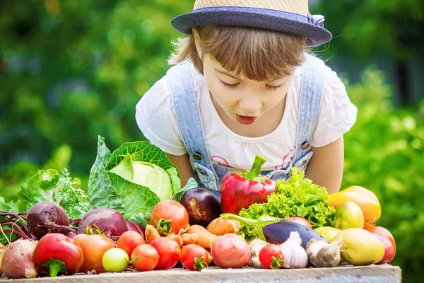 Barn Och Bio Grönsaker Gården Selektivt Fokus — Stockfoto