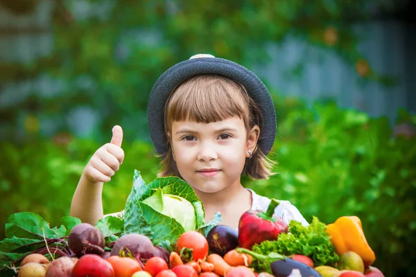 Enfants Légumes Biologiques Ferme Concentration Sélective — Photo