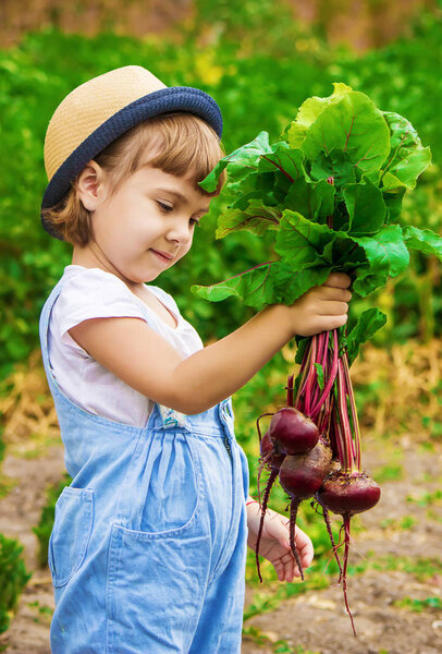 Child and  bio vegetables on the farm. Selective focus. 