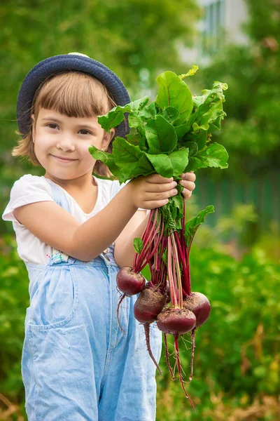 ファーム上の子供とバイオ野菜 選択と集中 — ストック写真