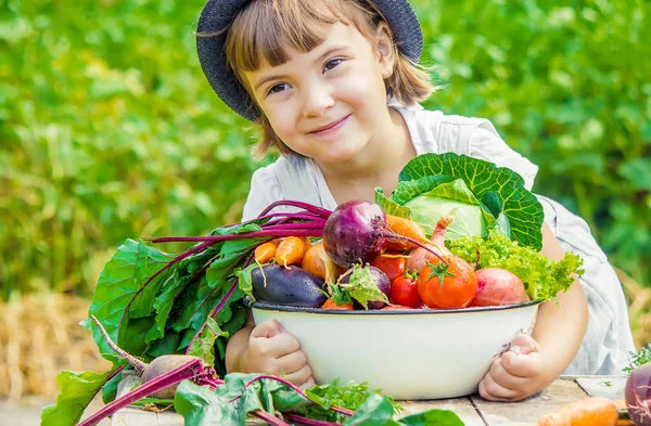 Niños Verduras Biológicas Granja Enfoque Selectivo — Foto de Stock