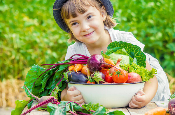 Child and  bio vegetables on the farm. Selective focus. 