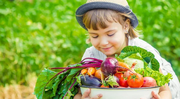 ファーム上の子供とバイオ野菜 選択と集中 — ストック写真