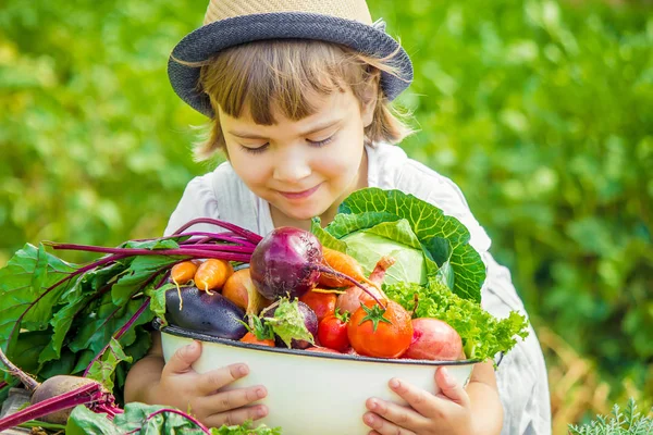 ファーム上の子供とバイオ野菜 選択と集中 — ストック写真