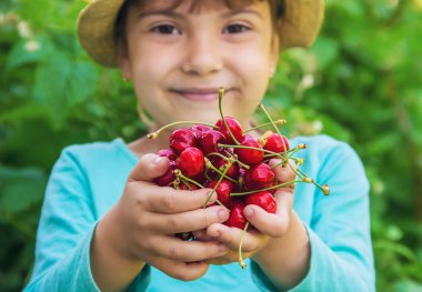 Çocuk bahçede kiraz topluyor. Seçici odak.