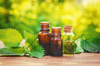 Isırgan otu özü yağı ve taze dallar çiçek açıyor.. 