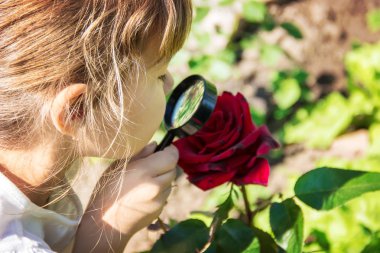 Çocuk bir büyüteç içine bakıyor. Arttır. seçici odak.