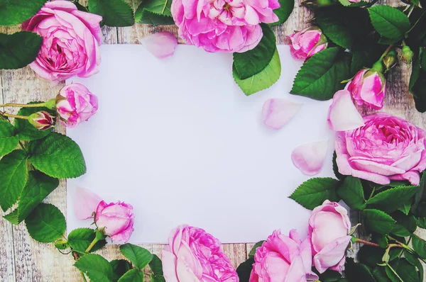 Квіти Листівки Вибірковий Фокус — стокове фото