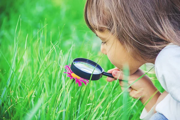 Barnet Tittar Ett Förstoringsglas Öka Selektivt Fokus — Stockfoto