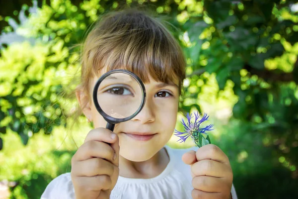 Bambino Sta Guardando Una Lente Ingrandimento Aumentare Focus Selettivo — Foto Stock