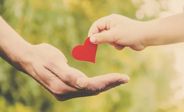 child and father have a heart in their hands. Selective focus.