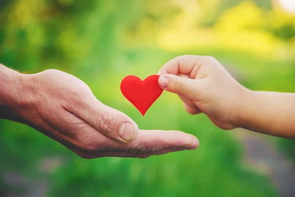 Bambino Padre Hanno Cuore Nelle Loro Mani Focus Selettivo — Foto Stock