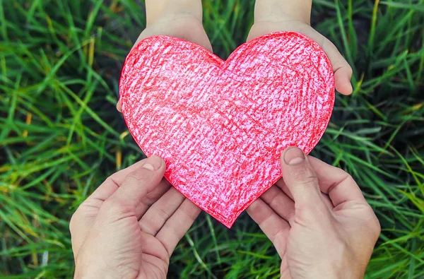 child and father have a heart in their hands. Selective focus.