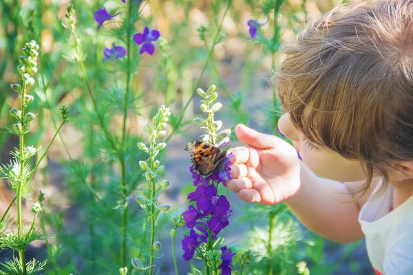 Gyermek Egy Pillangó Szelektív Összpontosít — Stock Fotó