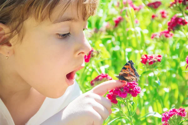 Niño Con Una Mariposa Enfoque Selectivo —  Fotos de Stock