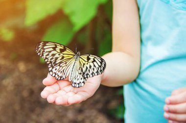 Çocuk ile bir kelebek. Seçici odak.