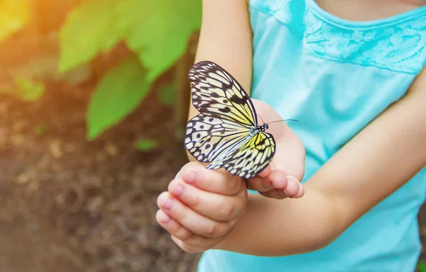 Kind Mit Einem Schmetterling Selektiver Fokus — Stockfoto