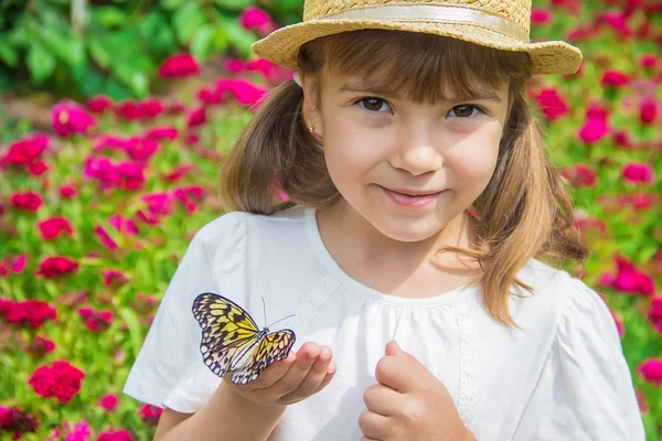 Gyerek Pillangóval Ötlet Leukonoé Szelektív Fókusz — Stock Fotó