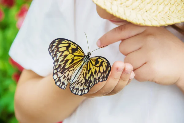 Kind Mit Einem Schmetterling Idee Leuconoe Selektiver Fokus — Stockfoto