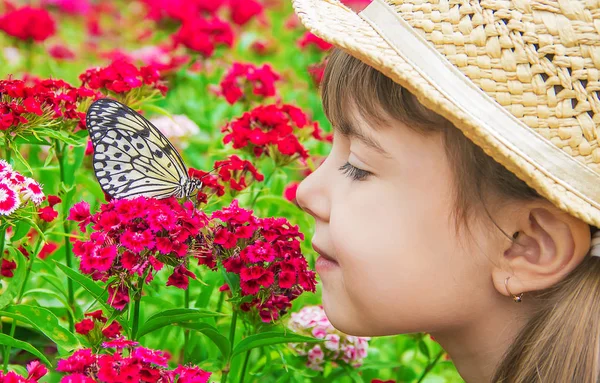 Niño Con Una Mariposa Idea Leuconoe Enfoque Selectivo —  Fotos de Stock