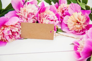 beyaz bir arka plan üzerinde çiçekler peonies. seçici odak. 