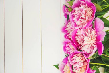 beyaz bir arka plan üzerinde çiçekler peonies. seçici odak. 