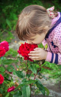 Çocuk kızla bahçede güller. seçici odak. 