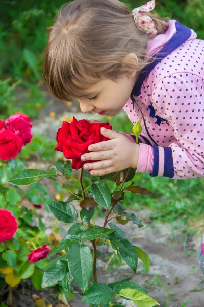 Niña Con Rosas Jardín Enfoque Selectivo —  Fotos de Stock