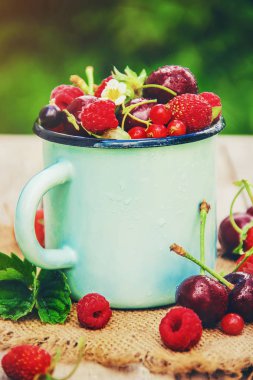 Farklı ev yapımı yaz meyveleri. Seçici odak.