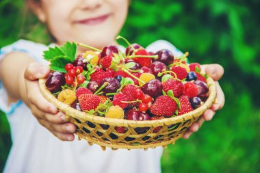 Farklı ev yapımı yaz meyveleri bir çocuğun elinde. Seçici odak. 
