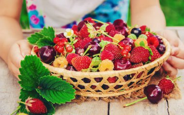 Farklı ev yapımı yaz meyveleri bir çocuğun elinde. Seçici odak. 