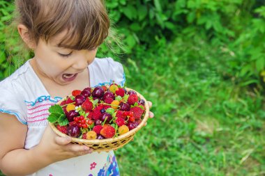 Farklı ev yapımı yaz meyveleri bir çocuğun elinde. Seçici odak.